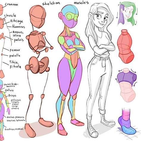 Mitch Leeuwe on Instagram: “I'm using basic anatomy for my drawings. I ...