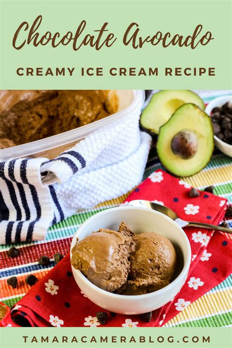 Chocolate Avocado Ice Cream Recipe - Tamara Like Camera