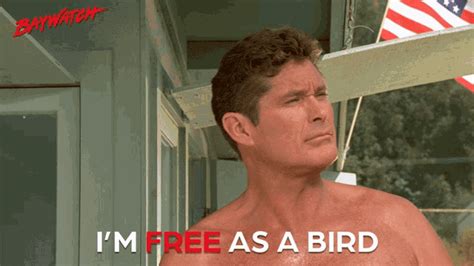 Im Free As ABird Life Is Good GIF - ImFreeAsABird LifeIsGood Freedom - Discover & Share GIFs