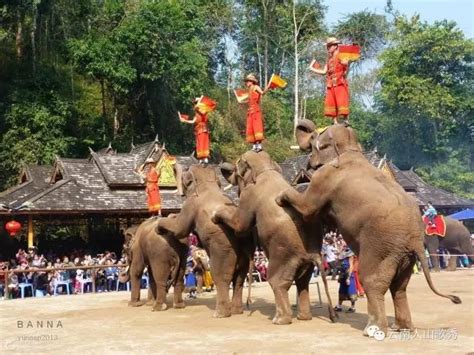 Xishuangbanna Elephant Valley Travel Guide - kikbb