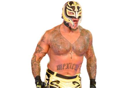 WWE Rey Mysterio PNG HD Image - PNG All | PNG All