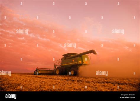 Agriculture - A John Deere combine harvests mature soybeans in late afternoon light / near ...