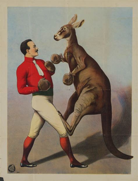 Marquee Poster | Kangaroo Boxing 1890s German A1