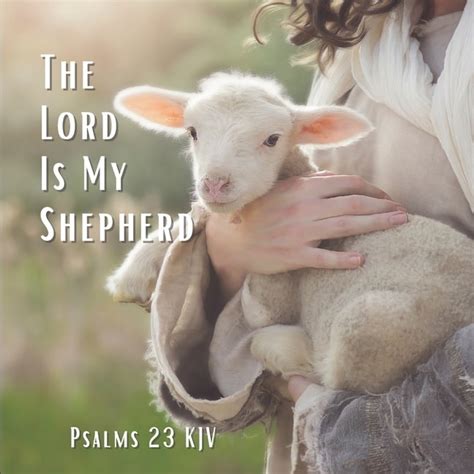 The Lord Is My Shepherd Psalm 23 KJV (Paperback) - Walmart.com - Walmart.com