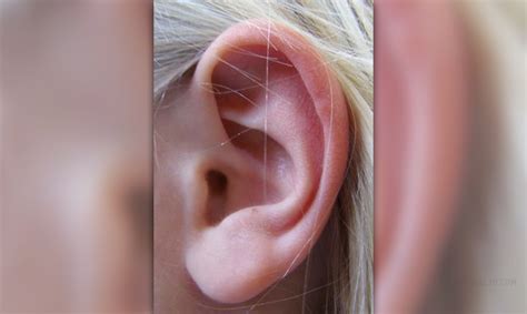 What causes ear wax | General center | SteadyHealth.com