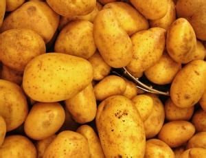 potato lot free image | Peakpx