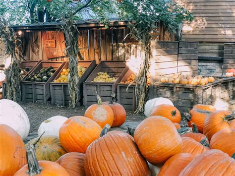 Everything You Need to Know About Visiting Vala's Pumpkin Patch ...