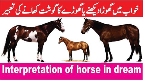 khawab mein ghora dekhnay ki tabeer. khawab mein ghora ka gosht kh… | Horses, Poster, Animals