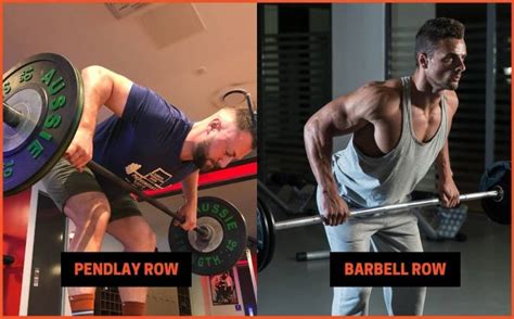 Pendlay Row vs Barbell Row: Differences, Pros, Cons ...