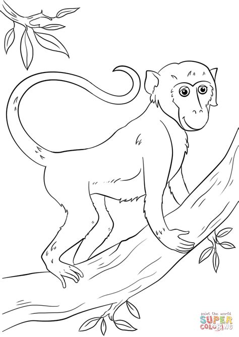 Monkey Hanging From Tree Drawing at GetDrawings | Free download