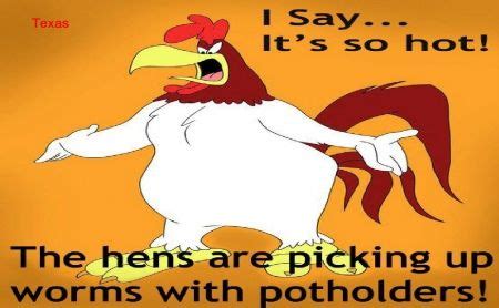 23 Foghorn leghorn quotes ideas | foghorn leghorn quotes, foghorn leghorn, funny cartoons