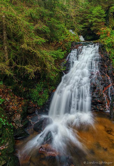 Black forest waterfalls mix – SA*GA Photography – Sandra Schänzer