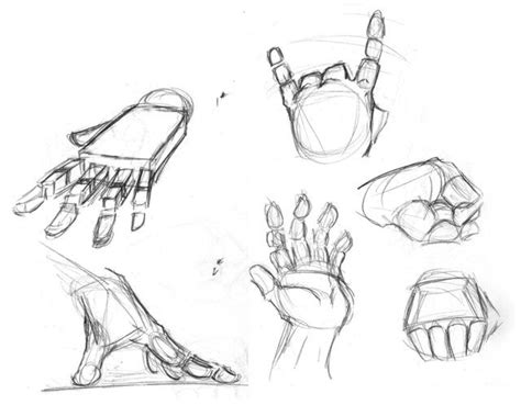 Hands | Human anatomy drawing, Anatomy drawing, How to draw hands