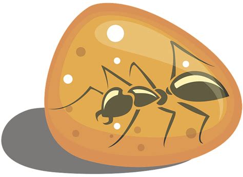 Ant Fossilized in Amber clipart. Free download transparent .PNG | Creazilla