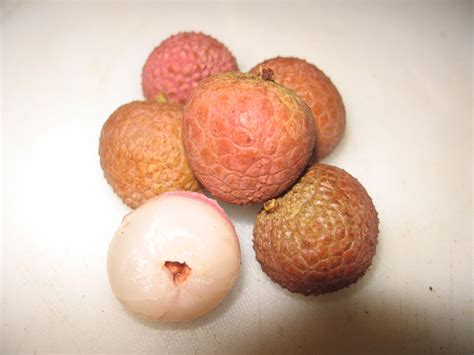 Lychee Fruit Brewster Variety 5 Seeds | Etsy