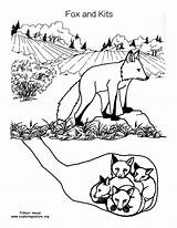 Fox And Kits In Den Coloring Page sketch template