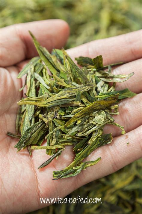 Chinese Dragon Tea: A Closer Look at Longjing Tea | Dragon tea ...