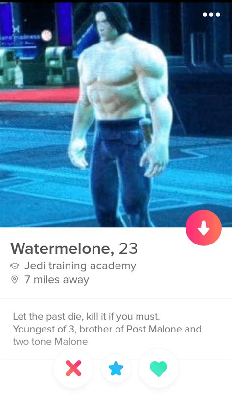 The first meme tinder profile I found : r/Tinder