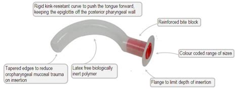 How to use an Oropharyngeal (OP) Airway - First Aid for Free