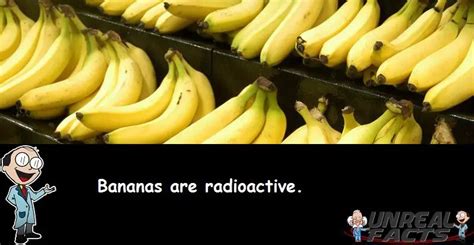 Bananas Are Radioactive - Unreal Facts