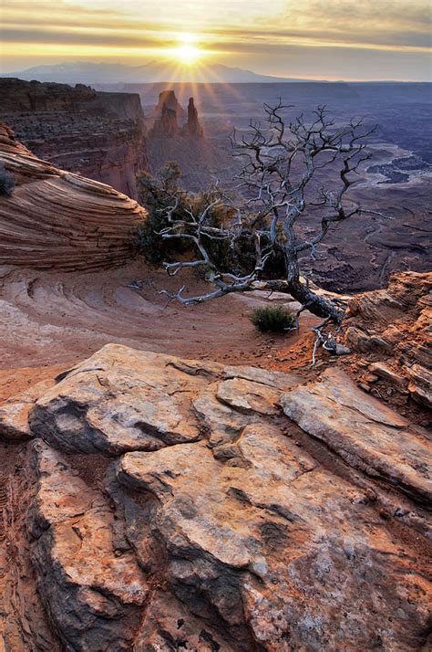 Canyonlands Sunrise Landscape With Dry Photograph by Rezus - Fine Art ...