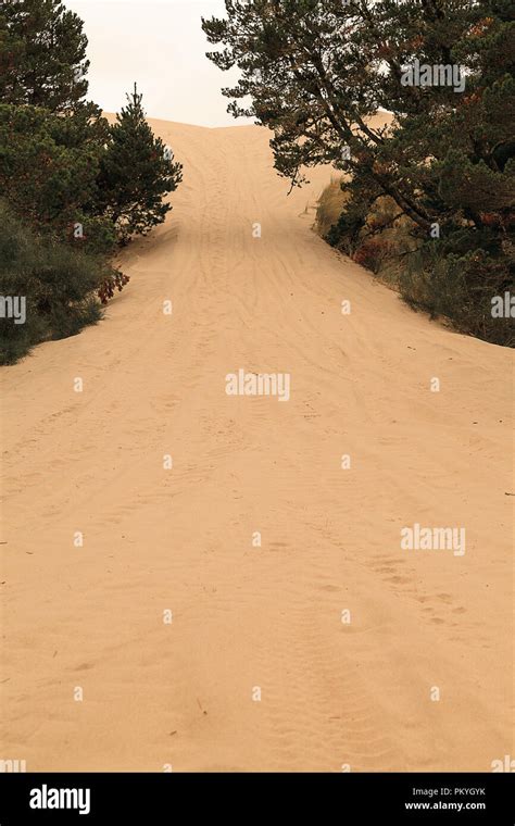 Oregon Dunes National Recreation Area Stock Photo - Alamy