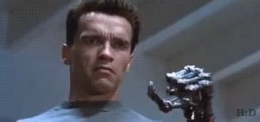 Terminator te hace la peineta | Gracioso gif, Humor gracioso, Gracioso