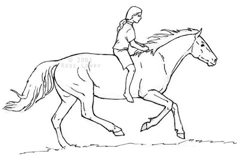 Person Riding Horse Drawings and Sketches | Horse sketch, Horse drawings, Horse drawing