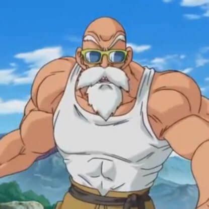 Master Roshi - Fight Profile - Dragon Ball Guru