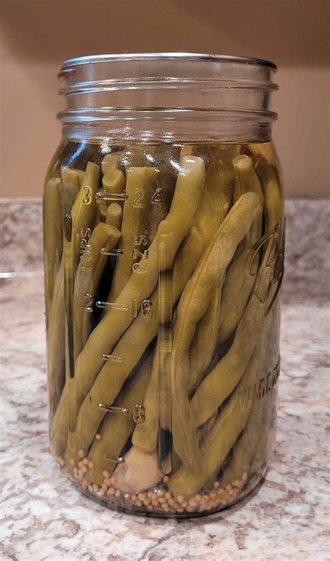 Pickled Dill Green Beans - Wisconsin Farm Bureau Federation