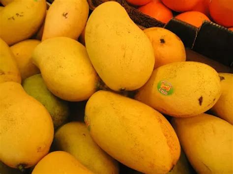 Verdadero Árbol De Mango Manila Enano | Meses sin intereses