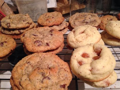 Cookies!!! Sugar cookies with caramel bits & chocolate chips! | Caramel ...