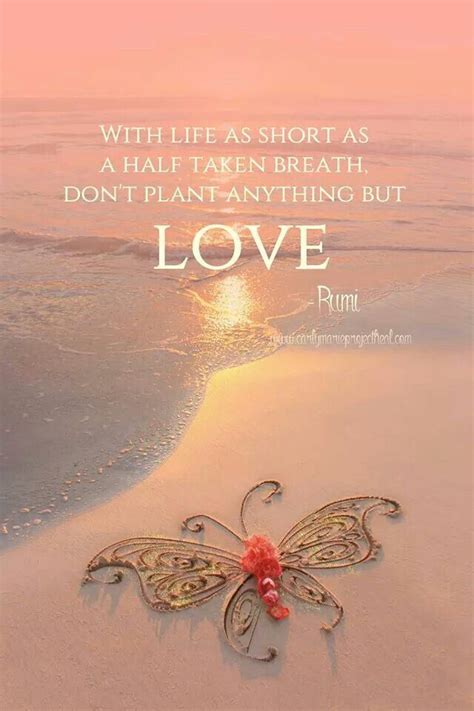 Rumi Quotes On Love And Life - Arise Quote