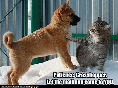 Patience, Grasshopper. Let the mailman come to YOU. - Cheezburger ...