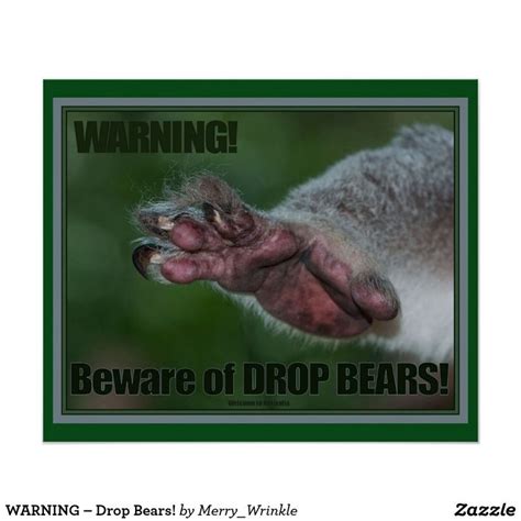 WARNING – Drop Bears! | Drop bear, Photo posters, Poster