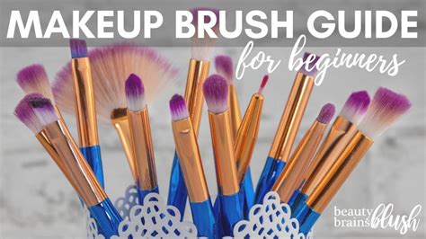 Ultimate Makeup Brush Guide for Beginners - BeautyBrainsBlush