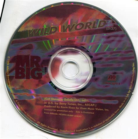 Mr. Big - Wild World (1993, CD) | Discogs