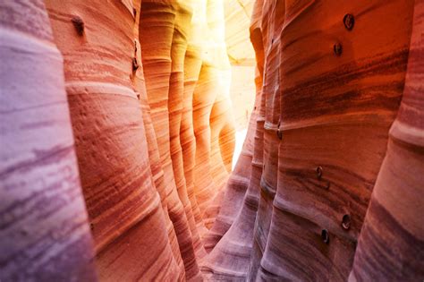 Secret Canyon Tours