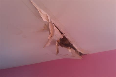 The Birmingham Handyman - water damaged drywall ceiling