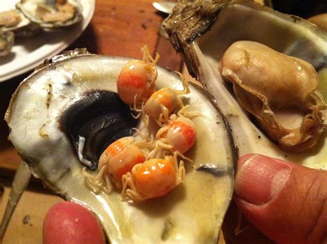 Oyster Crab Edible at Mary Archer blog