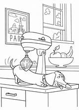 The Secret Life Of Pets Coloring Pages  Best For Kids sketch template