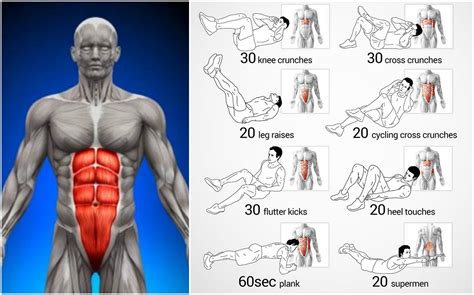 Fastest Six Pack Abs Exercise Routines | Abs workout gym, Abs workout, Abs workout routines