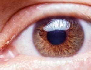 Closeup, Eye, Skin, Macro, Look, Blue, human eye, human body part free image | Peakpx