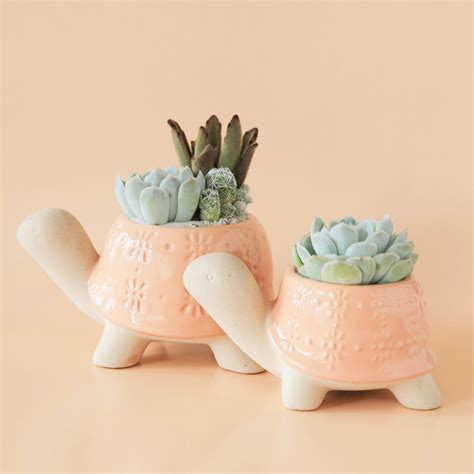 Turtle Planter | Sunset – Pigment