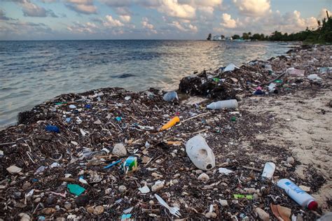 200 countries call for end to plastic pollution – As You Sow