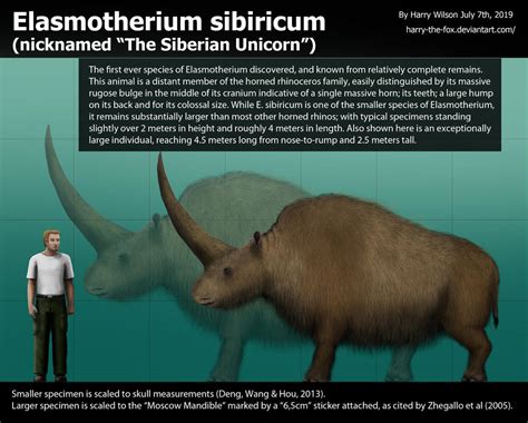 Elasmotherium sibiricum Size by Harry-the-Fox on DeviantArt