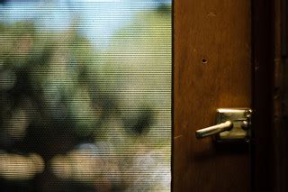 Through the Screen Door | Martin Kenny | Flickr