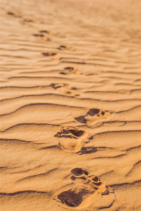 Premium Photo | Footprints in the sand in the red desert at sunrise.