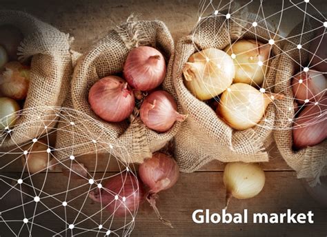 GLOBAL MARKET OVERVIEW ONIONS