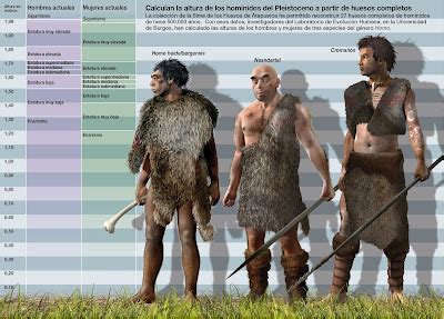 Cuevas de Andalucia: Hermanos Neandertales